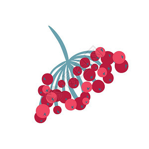 红色浆果树枝矢量元素图片