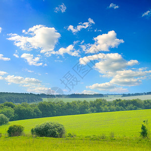 小山上绿草地蓝天有云图片