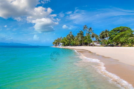 夏日在泰河沿岸的KohSamui岛有棕榈树的热带海滩图片