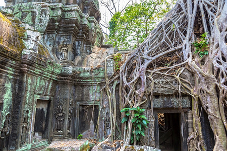 塔普罗姆寺庙的废墟是夏日Cambodi的夏日Semsar的复杂Agkorwat古寺图片