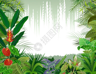热带森林矢量插画图片