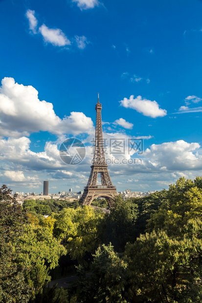 在美丽的夏日法国巴黎的埃菲尔塔图片