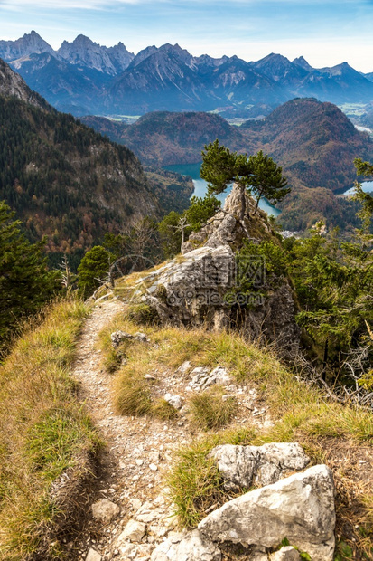 夏天在德国的山上取自内华士旺斯坦城堡旁边的山丘图片