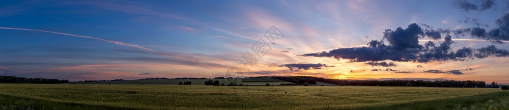 日落时小麦田的农村景观图片