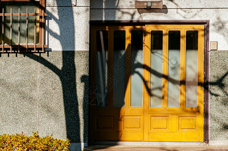 2018hakotejpn古老的多彩黄色房屋门阳光下高对比度的阴影和入口前无叶树背景图片