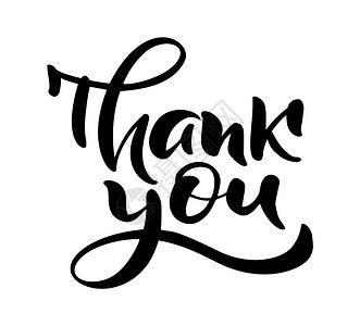 矢量文本感谢您手画旧矢量文本感谢您白背景上孤立手画婚书写标签插画