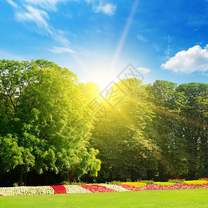 夏令营有鲜花和绿草坪阳光明媚的一天图片