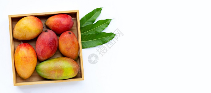 热带水果白色背景的木箱芒果复制空间图片