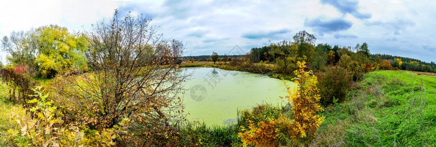 秋天的风景公园明亮颜色在湖边的公园里图片