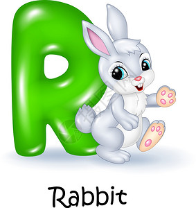兔子的r字母插图图片