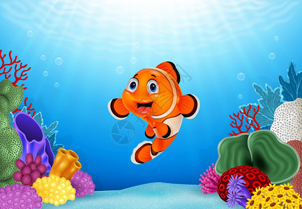美丽的水下世界可爱的小丑鱼图片