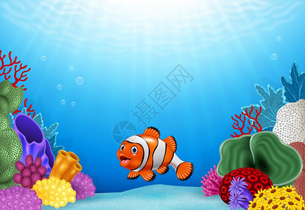 海底世界和可爱小丑鱼图片