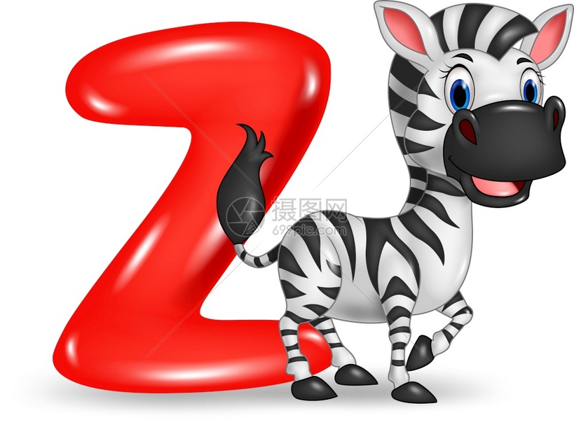 斑马的z字母插图图片