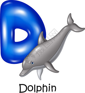 海豚用d字母插图图片
