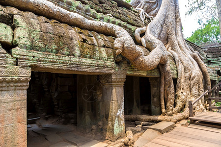 塔普罗姆寺庙的废墟是夏日Cambodi的夏日Semsar的复杂Agkorwat古寺图片