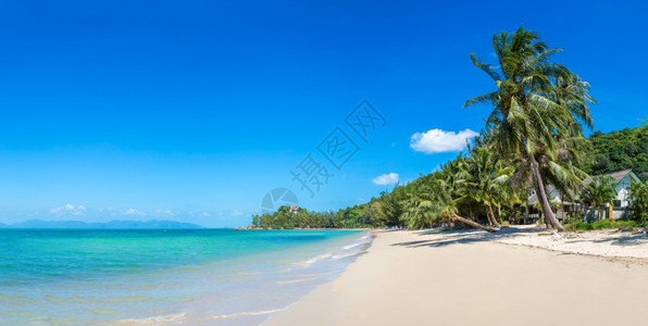 夏日在泰河沿岸的KohSamui岛有棕榈树的热带海滩图片