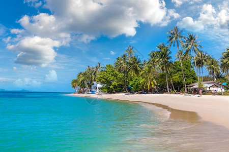 夏日在泰河沿岸的KohSamui岛有棕榈树的热带海滩图片