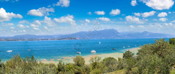 在一个美丽的夏日意大利在加拉湖上的雪松全景图片