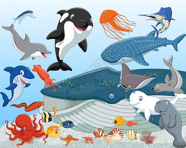 海洋动物矢量元素图片