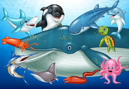 海洋动物矢量元素高清图片