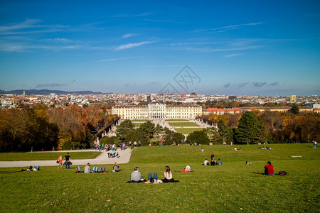 美景以图在venaustri和绿草地的schonbru宫图片