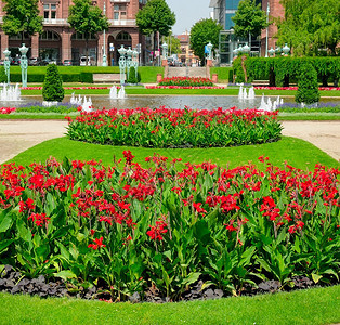 曼海姆德国城公园豪华的花床和喷泉图片