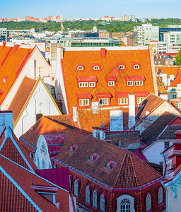 在古老的城红色屋顶上面有阳光和上面是红色的瓷砖屋顶上面有传统建筑的房屋现代的天线背景Estonia图片