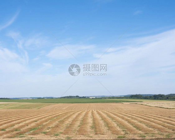 夏季蓝天下北法国部露天地貌的农村图片