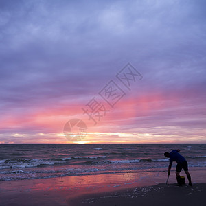日落时男子在海滩寻找蠕虫作为捕鱼的诱饵图片