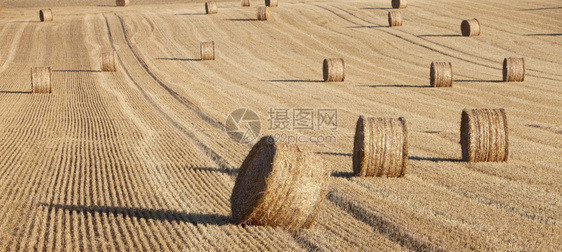 在阳光明媚的夏日夜晚蓝天下北弗朗特部滚动山丘的草丛抽象模式图片