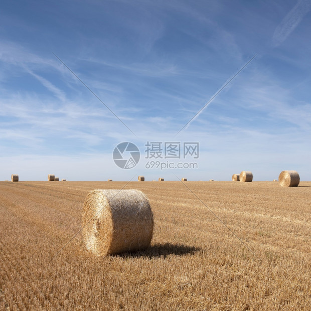 金田在法国以北的蓝天下有圆草丛的金田图片