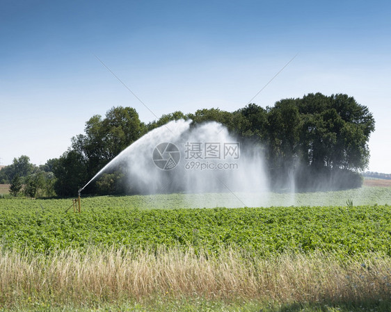 夏季在蓝天下弗朗特以北的田地灌溉图片
