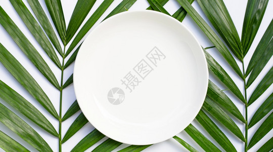 热带棕榈树叶上白色背景的空陶瓷板图片