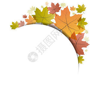 矢量叶秋底背景图片