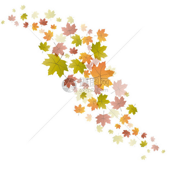 矢量叶秋底背景图片