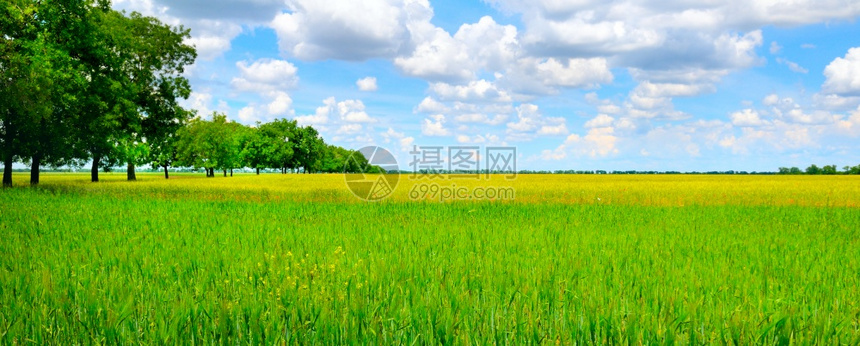 小麦田和乡村风景宽幅照片图片