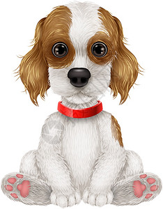 动物形象卡通狗坐着插画