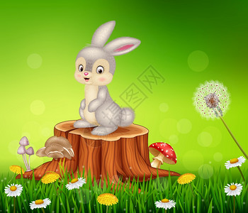 坐在树桩上的可爱兔子图片