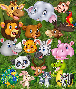 卡通可爱野生动物背景图片