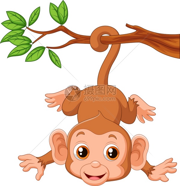 可爱的猴子挂在树上插画图片下载-正版图片303756195-摄图网