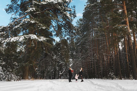 时尚的妈爸女儿和小子在冬季森林中散步家庭有愉快的时光在一起从远处看有选择焦点时尚妈女儿和小子在冬季森林中散步从远处看有选择焦点图片