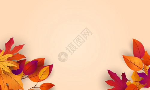 秋叶背景图片