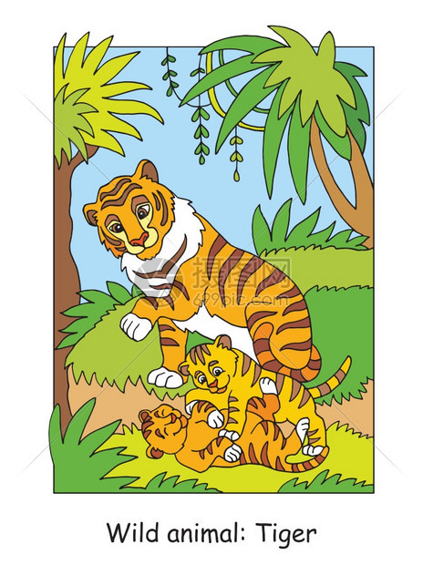 带色彩的森林里老虎一家插图用于学龄前教育图片