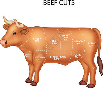 切牛肉组图片