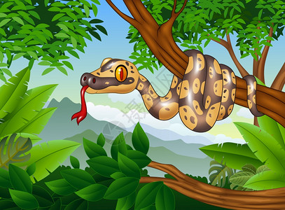 美国森林卡通蛇爬在树枝上插画