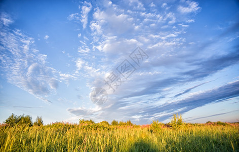 美丽的农村风景蓝天空云夏晨草原野花图片