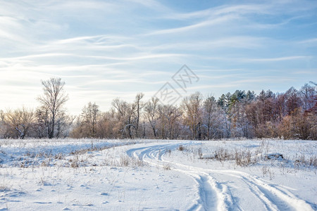 冬季风景白色雪地上有条路一片森林与蓝色天空相对云彩闪发光图片