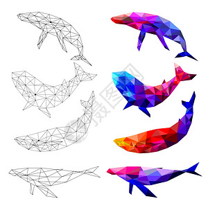 聚匠一组鲸鱼多边形几何矢量说明插画