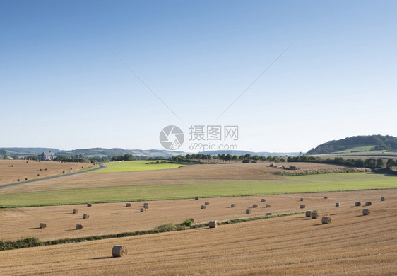 以玉米田和草地为区森林和马雷斯德在法郎以北的农村地貌种植玉米田和草地图片