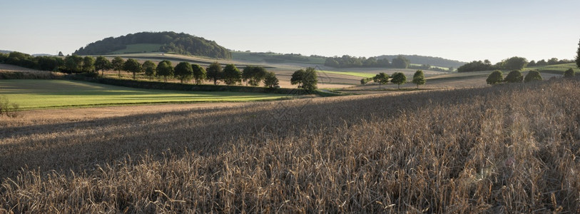 以玉米田和草地为区森林和马雷斯德在法郎以北的农村地貌种植玉米田和草地图片